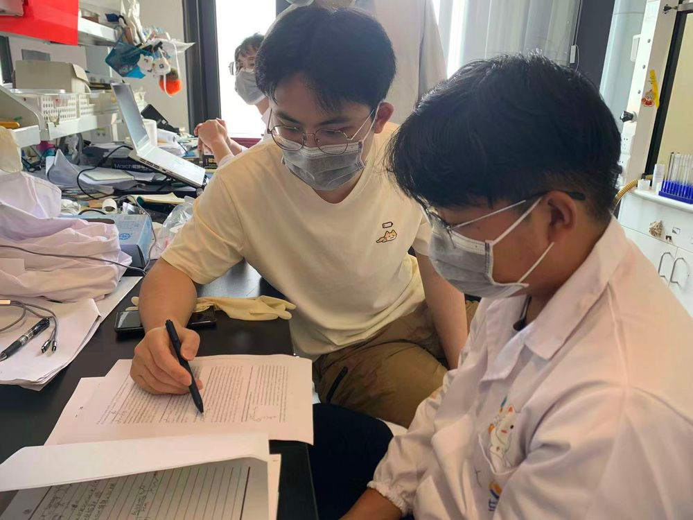 赴北大研学
